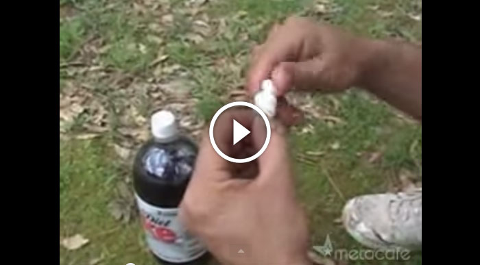 coke and mentos can be deadly