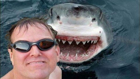 25 most dangerous selfies ever