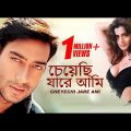 Cheyechi Jare Ami | Bengali Movie | Ajay Devgan, Ameesha Patel