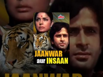 Jaanwar Aur Insaan Full Movie | Shashi Kapoor Hindi Movie | Rakhee Gulzar | Superhit Hindi Movie