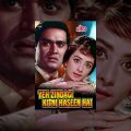 Yeh Zindagi Kitni Haseen Hai Full Movie | Joy Mukherjee Hindi Movie | Saira Banu | Bollywood Movie