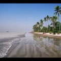 Beautiful Kuakata Sea Beach | Jhau-Bon |Travel Bangladesh কুয়াকাটা
