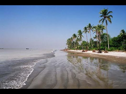 Beautiful Kuakata Sea Beach | Jhau-Bon |Travel Bangladesh কুয়াকাটা