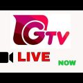 Gtv Live | BPL 2019 T20 Cricket Highlights Live