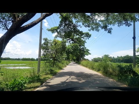 Beautiful Bangladesh Holiday Vlog | Palm Trees Village Food Fishing Travel