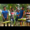 Bangla Funny Song Video