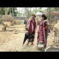 গরুর দালাল | তারছেড়া ভাদাইমা | Ghorur Dalal | Tarchera Vadaima | Bangla Natok 2019