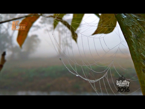 Beautiful Bangladesh | A winter Day at village বাংলাদেশ এর গ্রামে শীতের সকাল