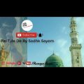 Pal Tule De By Sadhk Sayem | Bangla New Music Video 2018 | Bangla Folk Song