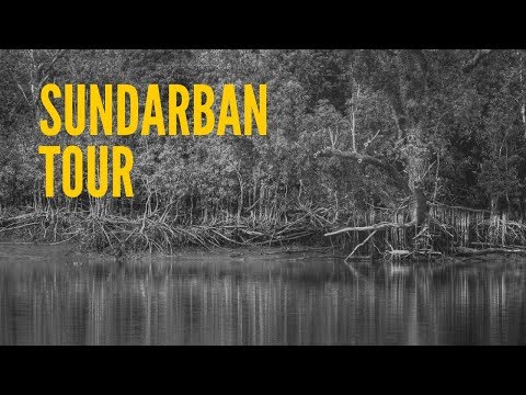 Sundarbans Tour | Travel Diary | Karamjal Point | Bangladesh