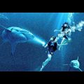 47 Meters Down: Uncaged Hindi Dubbed Full Movie Links | 2019 | Dual Audio | Watch or Download