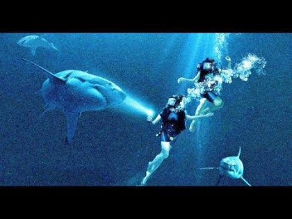 47 Meters Down: Uncaged Hindi Dubbed Full Movie Links | 2019 | Dual Audio | Watch or Download