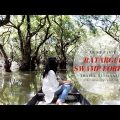 Must-Visit Travel Destination Ratargul Swamp Forest in Sylhet, Bangladesh
