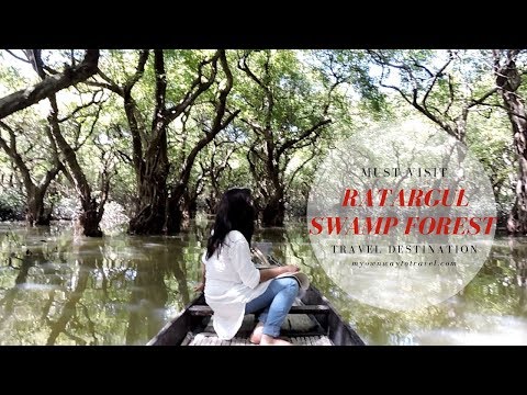 Must-Visit Travel Destination Ratargul Swamp Forest in Sylhet, Bangladesh