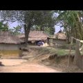 Beautiful Bangladesh Oraon Tribal village Srimangal Bangladesh Video