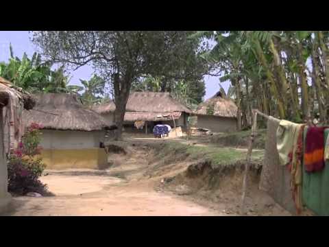 Beautiful Bangladesh Oraon Tribal village Srimangal Bangladesh Video