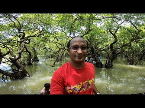 Ratargul Swamp Forest | Sylhet | Travel Bangladesh | Go Pro