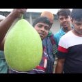 Farmers Market In Bangladesh | Travel Bangla 24 | Village Vegetables Market