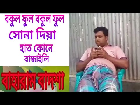 বকুল ফুল,bangla song,video song,new song,2019,bokul,vabuk media,music,bangla album,album,brand song,