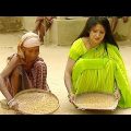 TRAVEL 'KALMAKANDA' IN BANGLADESH │ প্রাকৃতিক সৌন্দর্যের লীলাভূমি কলমাকান্দার 'লেঙ্গুরা'