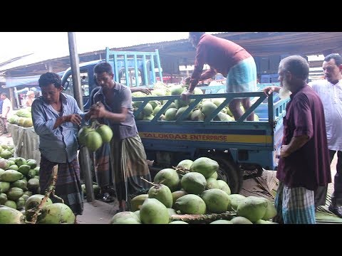 Fruit Market In Bangladesh | Travel Bangla 24 | Fresh Fruits Market