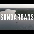 Travel Bangladesh – Sundarbans, Land of Tigers | 4k UHD