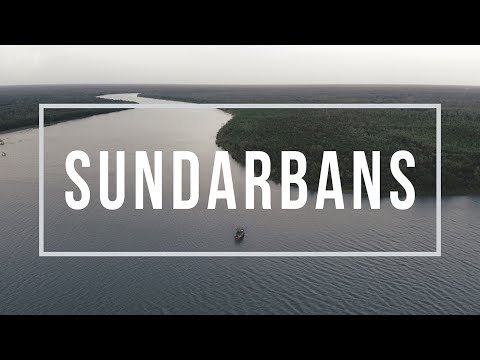 Travel Bangladesh – Sundarbans, Land of Tigers | 4k UHD