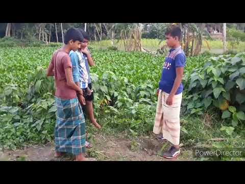 Bangla song Bangla বাংলা  গান SA VISION BD
