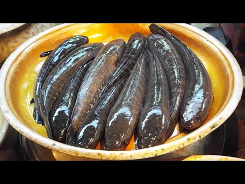 🔴 Busiest Market In Sylhet 🇧🇩 | Bangladesh Street Food Travel VLOG | Fish Market Bazar Tour