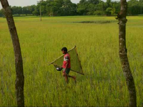 Bangladesh বাংলাদেশ