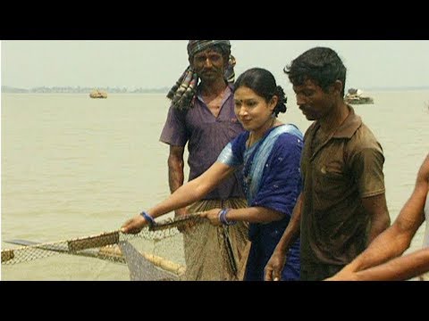 TRAVEL THE RAINY CHALAN BEEL – THE LARGEST BEEL IN BANGLADESH | দেখুন বর্ষার ‘চলনবিল’