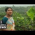 বৈচিত্র্যে ভরা ‘নাইক্ষ্যংছড়ি’ | TRAVEL BEAUTIFUL 'NAIKHONGCHHARI' IN BANGLADESH