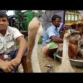 Largest Village Market | Bangladesh | Travel Vlog