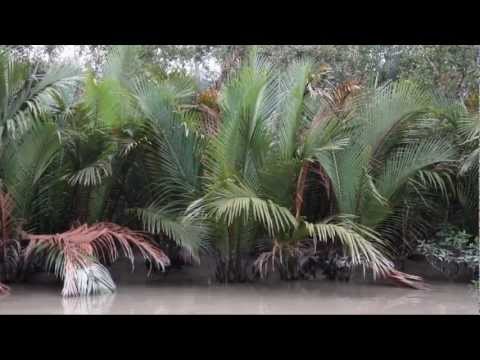 Inside of SUNDARBAN: Thrilling Sundarban Travel festival of XPLORE BANGLADESH