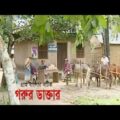 গরুর ডাক্তার | Gorur Doctor | Chanchal Chowdhury | Fazlur Rahman Babu | Bangla Natok