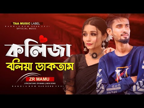কলিজা বলিয়া ডাকতাম | Koliza Boliya Daktam | ZR MAMU | New Bangla Music Video 2021 | New Song 2021
