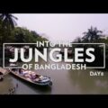 Into the jungles of Bangladesh