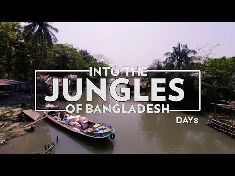 Into the jungles of Bangladesh