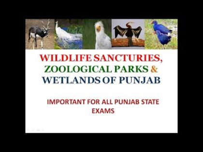 Wildlife Sancturies, Zoological Parks, Wetlands Of Punjab, Ramsar Sites in Punjab, For Punjab Exams