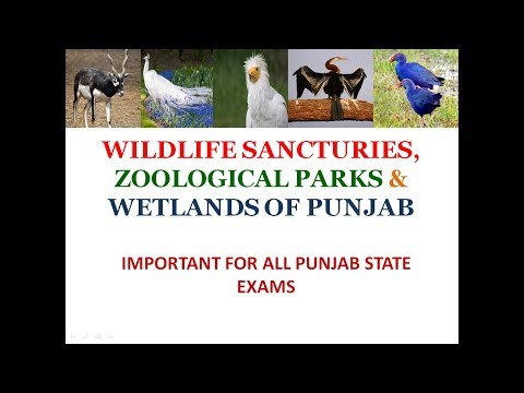 Wildlife Sancturies, Zoological Parks, Wetlands Of Punjab, Ramsar Sites in Punjab, For Punjab Exams