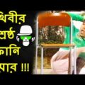 Kaissa Funny Chair | Bangla Comedy Dubbing