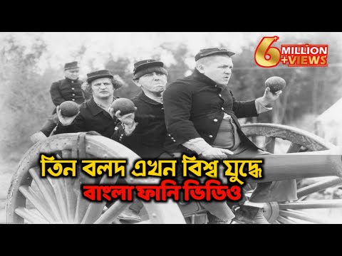 Three Stooges Bangla Funny Dubbing 2020 _ তিন বলদ এখন বিশ্বযুদ্ধে _ little fun entertainment