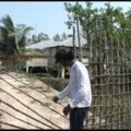Satkhira : Bangladesh EP 02