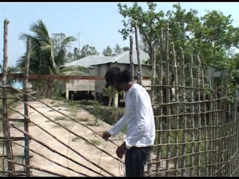 Satkhira : Bangladesh EP 02