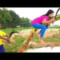 Must Watch New Comedy Video 2021 Challenging Funny Video 2021 Episode 32 By Maha Fun Tv