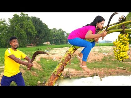 Must Watch New Comedy Video 2021 Challenging Funny Video 2021 Episode 32 By Maha Fun Tv