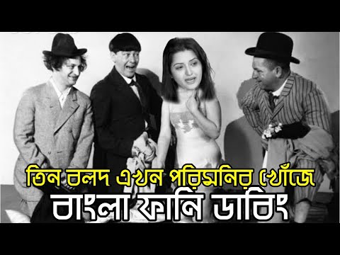 Three Stooges looking for a Porimoni | Bangla Funny Dubbing | Bangla Funny Video | Khamoka tv
