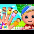 Finger Family | Five Little Babies + More Nursery Rhymes & Baby Songs | Funny Cartoon for Kids