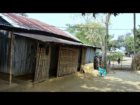 Daily Village Life । Natural Village life in Bangladesh