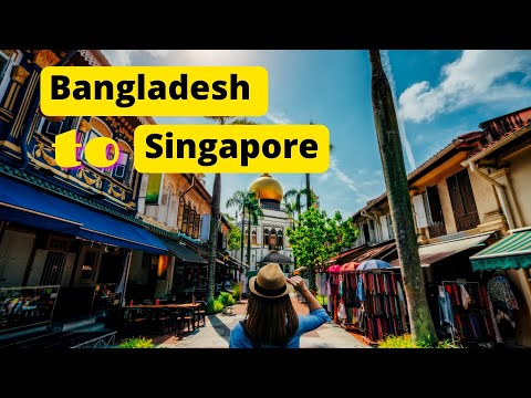 বাংলাদেশ থেকে সিঙ্গাপুর ভ্রমণ  বিস্তারিত । Bangladesh to Singapore Travel Video